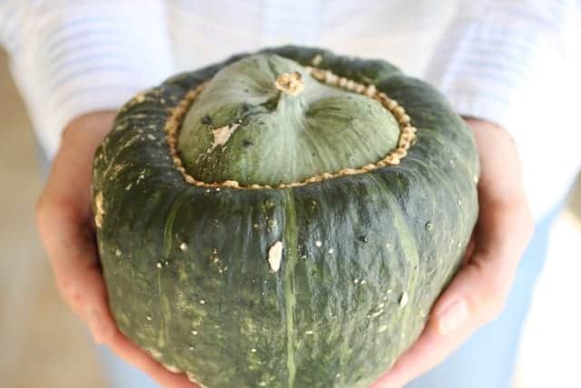 kabocha squash held with 2 hands