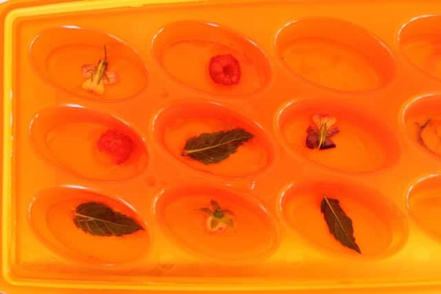 ice cube tray with mint leaves, raspberries