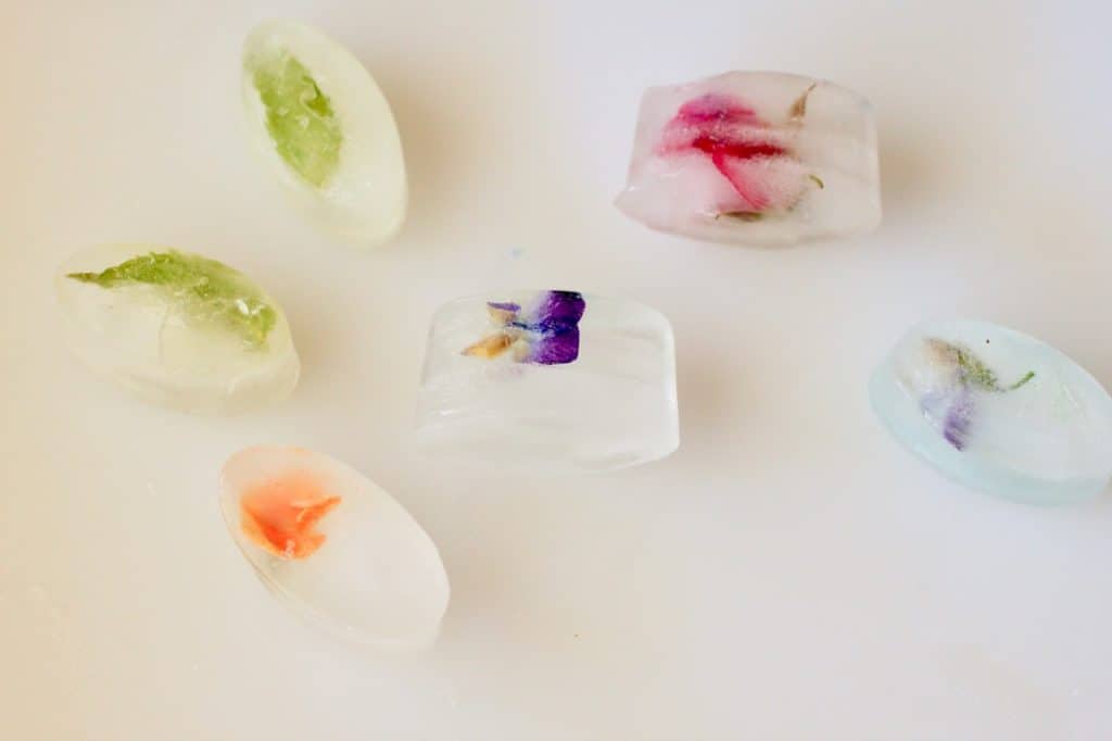 Floral Ice Cubes