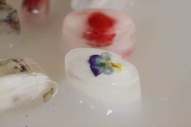 Floral Ice Cubes 