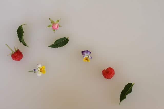edible flowers, herbs and berries