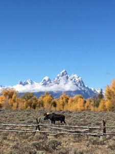 A LiveBest Guide to Jackson Hole, Wyoming. | Only for those who like to eat and explore! www.LiveBest.info