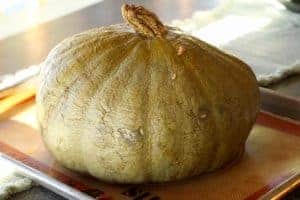 Baked Buttercup squash on sheet pan