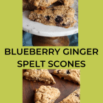 blueberry ginger spelt scones on a tray