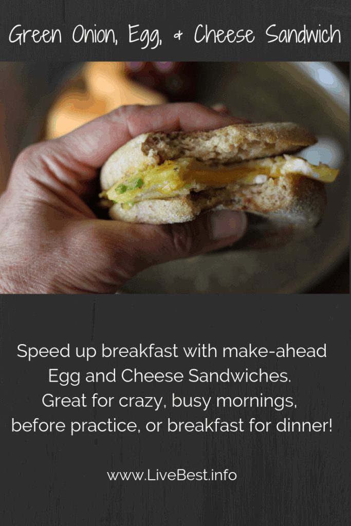 hand held breakfast sandwich with green onion, egg and cheese